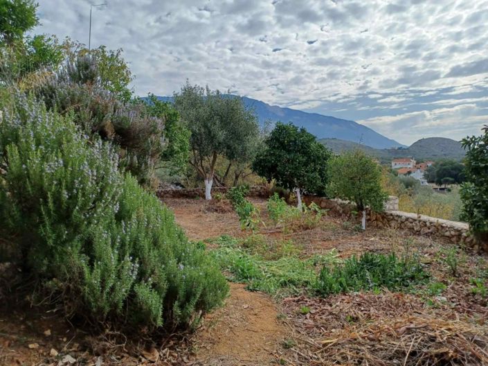 Image No.15-Maison de 3 chambres à vendre à Céphalonie