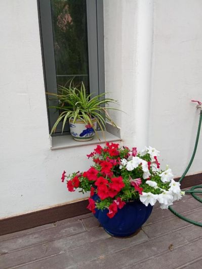 Image No.17-Villa de 3 chambres à vendre à Céphalonie