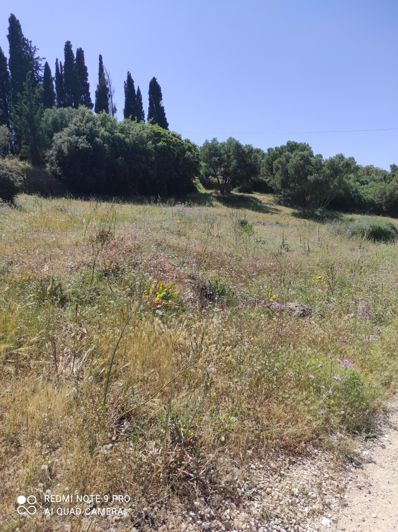 Image No.18-Villa de 2 chambres à vendre à Céphalonie