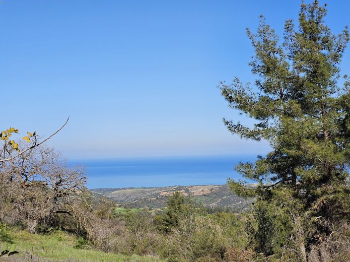 Image No.30-Villa de 3 chambres à vendre à Lysos