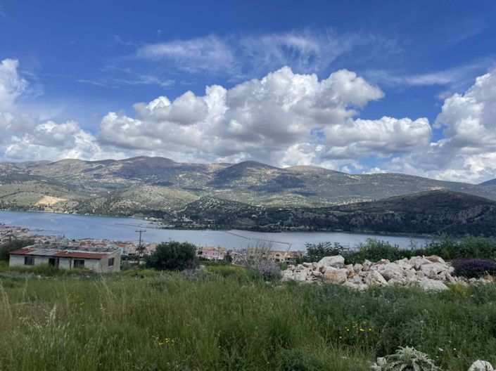 Image No.20-Terre à vendre à Céphalonie