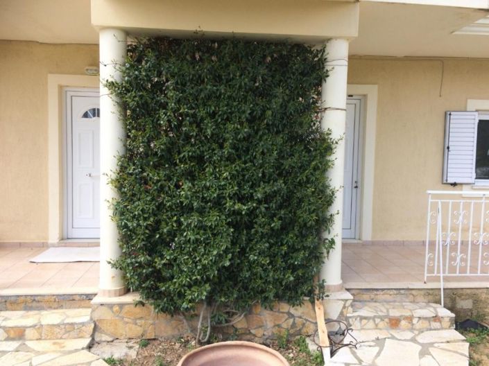 Image No.2-Maison de 3 chambres à vendre à Céphalonie