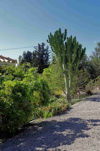 Image No.14-Villa de 2 chambres à vendre à Céphalonie