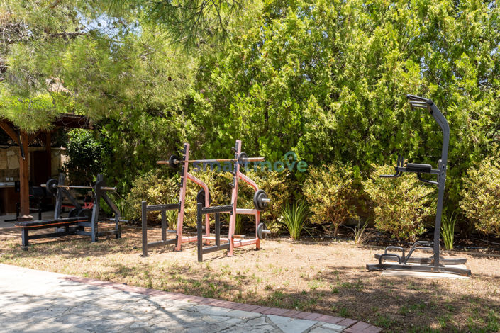 Image No.31-Villa de 8 chambres à vendre à Souni