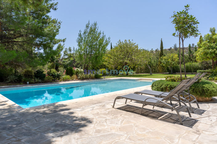 Image No.32-Villa de 8 chambres à vendre à Souni