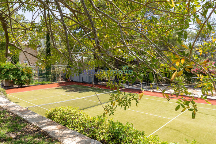 Image No.34-Villa de 8 chambres à vendre à Souni