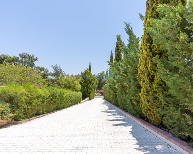 Image No.38-Villa de 8 chambres à vendre à Souni