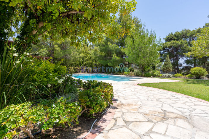 Image No.6-Villa de 8 chambres à vendre à Souni