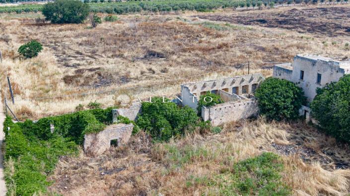 Image No.7-Ferme de 7 chambres à vendre à Ugento