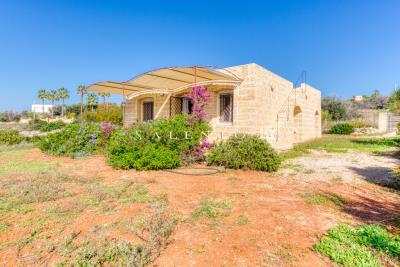 IMK-25102022-650-0318