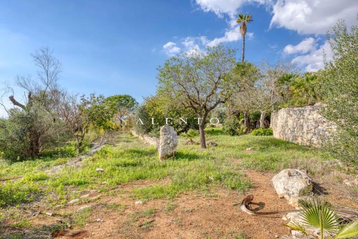 Image No.32-Villa de 3 chambres à vendre à Torre San Giovanni