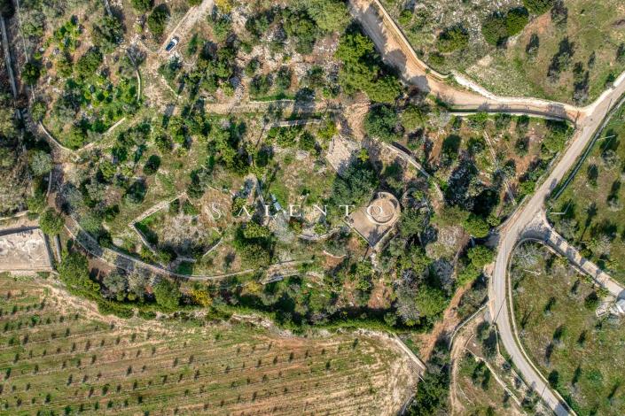 Image No.43-Villa de 3 chambres à vendre à Torre San Giovanni