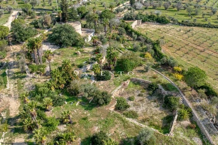 Image No.42-Villa de 3 chambres à vendre à Torre San Giovanni