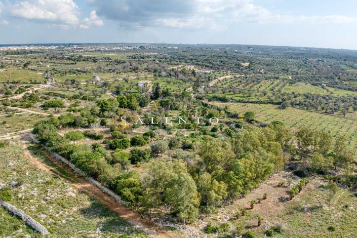 Image No.40-Villa de 3 chambres à vendre à Torre San Giovanni