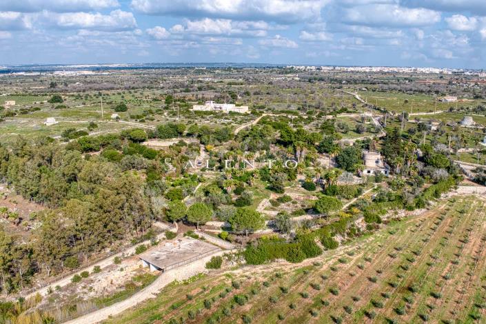 Image No.38-Villa de 3 chambres à vendre à Torre San Giovanni