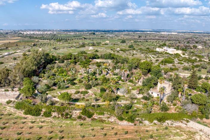 Image No.36-Villa de 3 chambres à vendre à Torre San Giovanni