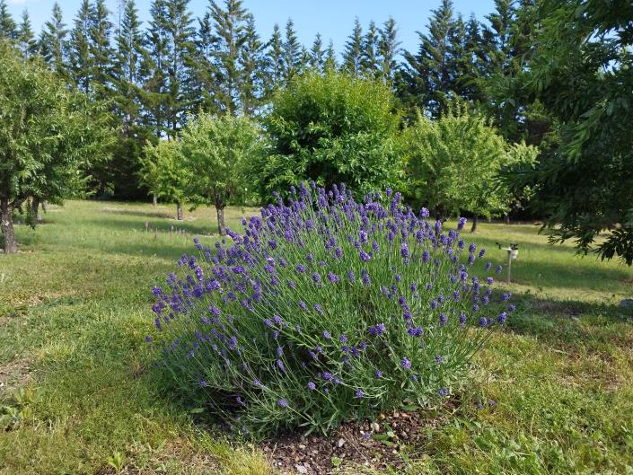 Image No.26-Maison / Villa de 3 chambres à vendre à Assignan