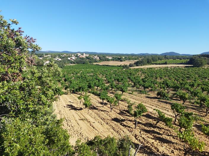 Image No.35-Maison / Villa de 3 chambres à vendre à Assignan