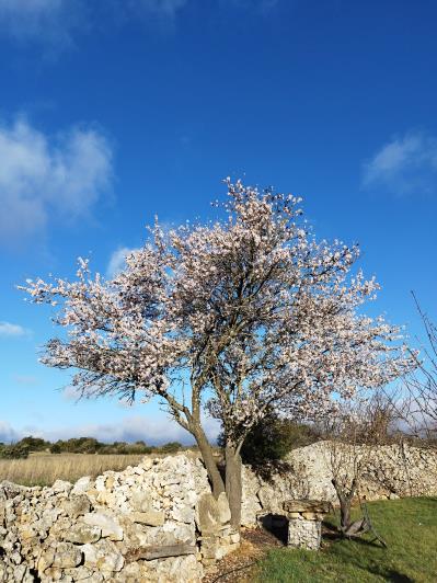 Image No.28-Maison / Villa de 3 chambres à vendre à Assignan