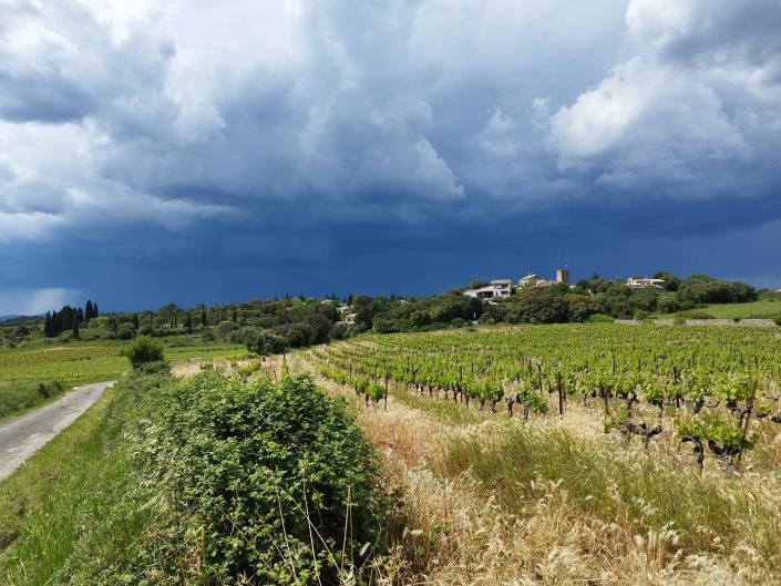 Image No.37-Maison / Villa de 3 chambres à vendre à Assignan