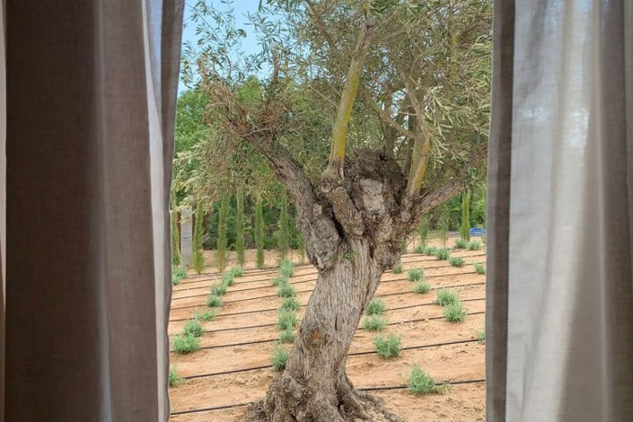 Image No.21-7 Bed Villa / Detached for sale