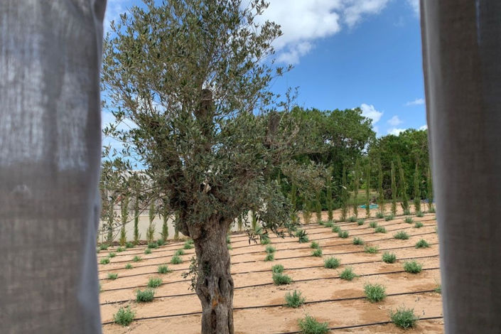 Image No.34-7 Bed Villa / Detached for sale