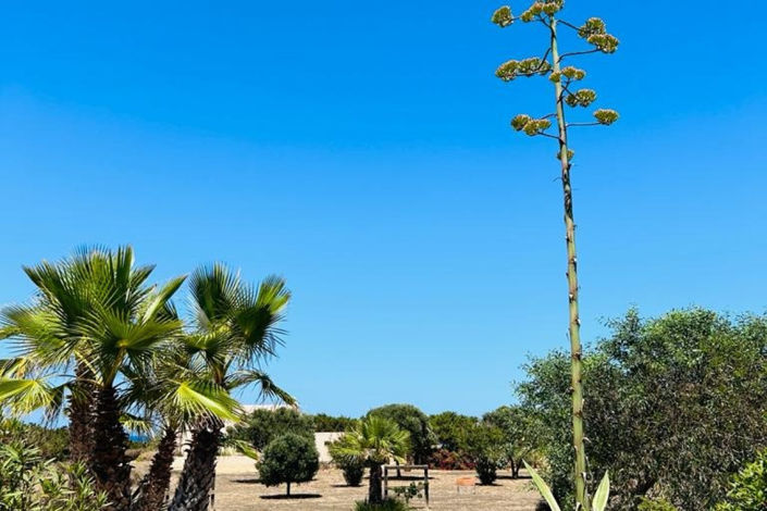 Image No.27-2 Bed Villa for sale