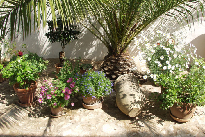 Image No.24-2 Bed Villa for sale