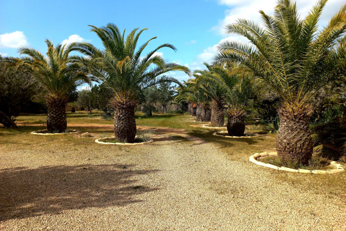 Image No.23-Villa de 4 chambres à vendre à San Francisco Javier