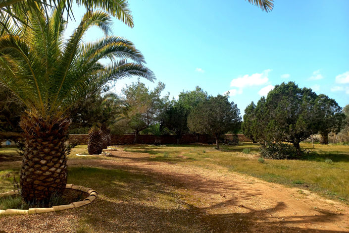 Image No.26-Villa de 4 chambres à vendre à San Francisco Javier