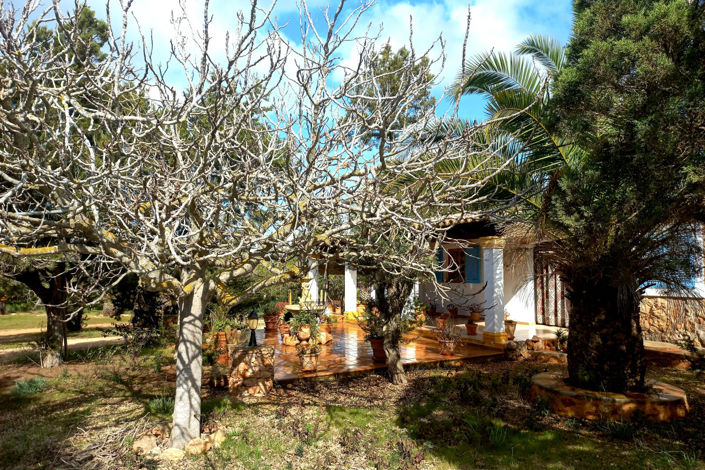 Image No.28-Villa de 4 chambres à vendre à San Francisco Javier