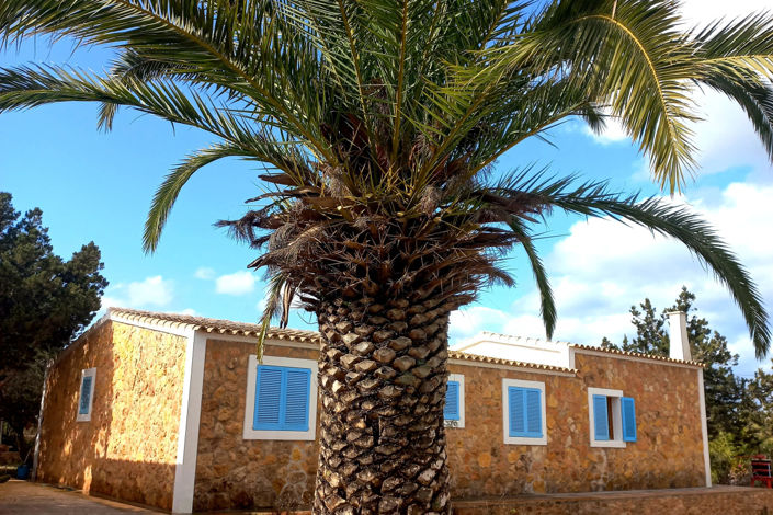 Image No.29-Villa de 4 chambres à vendre à San Francisco Javier