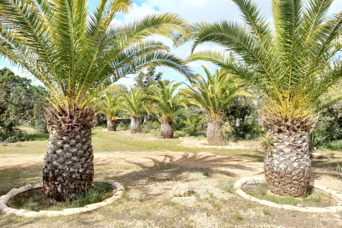 Image No.33-Villa de 4 chambres à vendre à San Francisco Javier