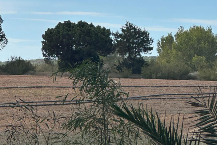 Image No.38-5 Bed Villa for sale