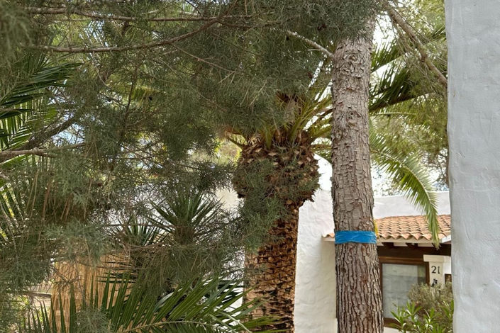 Image No.39-5 Bed Villa for sale