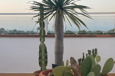 photo-2023-01-23-07-57-5228329-large