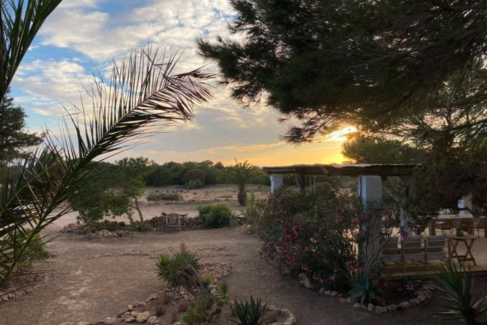 Image No.36-Finca de 3 chambres à vendre à Cala Saona 