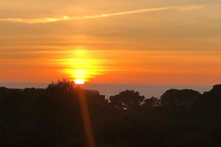 Image No.41-Finca de 3 chambres à vendre à Cala Saona 