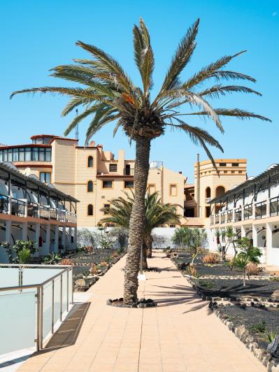 Image No.23-Appartement de 1 chambre à vendre à Costa De Antigua