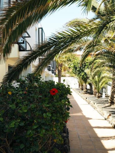 Image No.21-Appartement de 1 chambre à vendre à Costa De Antigua