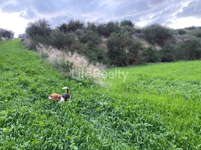 Image No.11-Land for sale