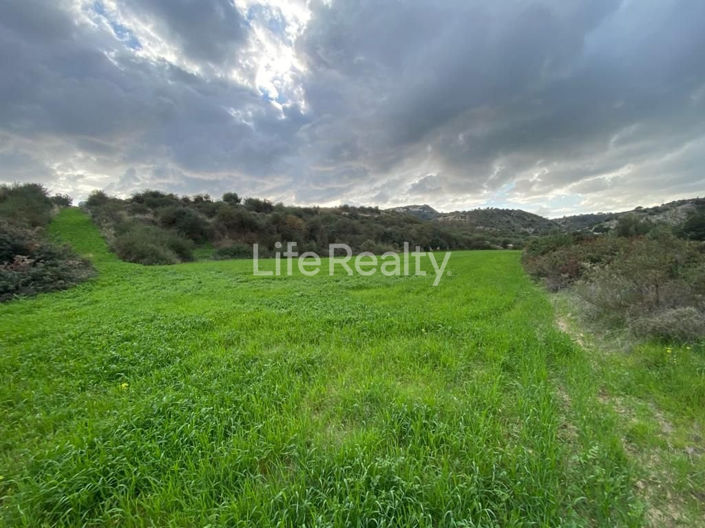 Image No.2-Land for sale