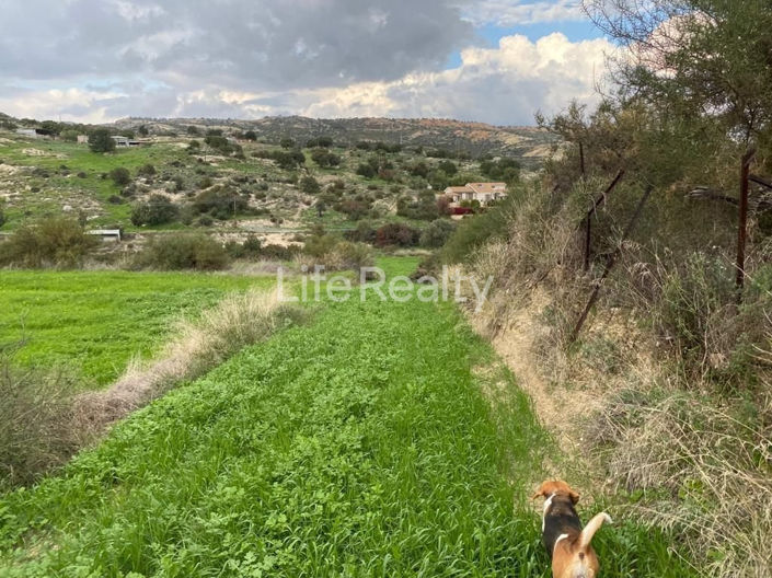 Image No.6-Land for sale