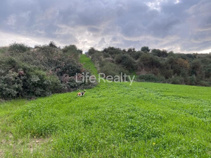 Image No.9-Land for sale