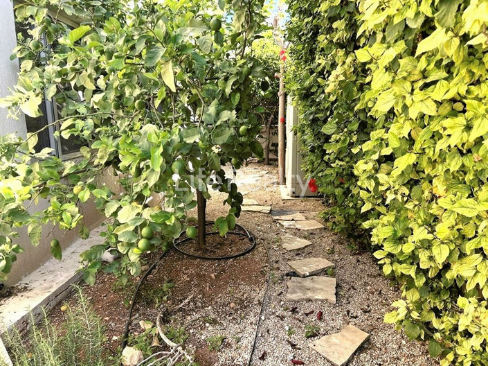 Image No.21-3 Bed House for sale