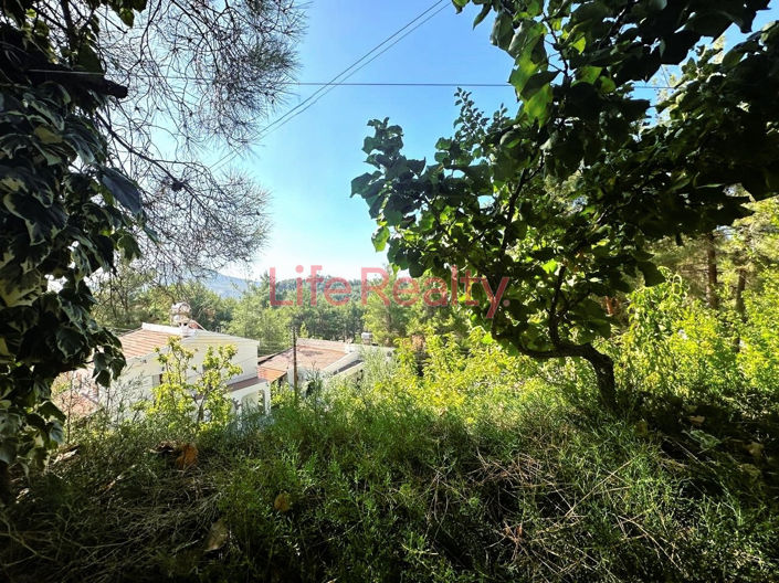 Image No.11-3 Bed House for sale