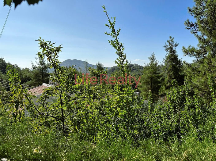 Image No.12-3 Bed House for sale