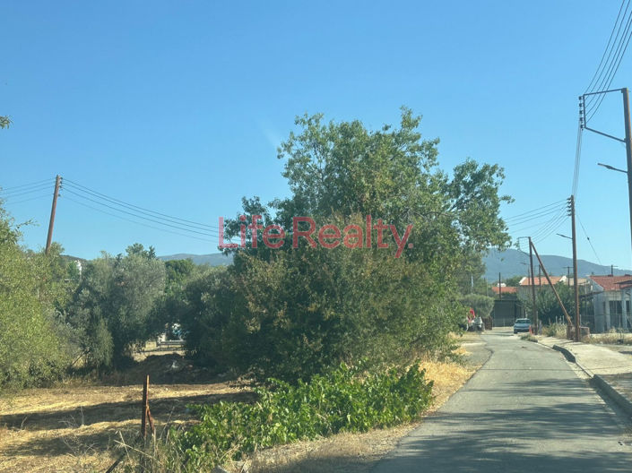 Image No.2-Terre à vendre à Limassol