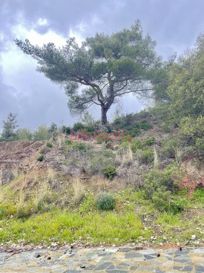 Image No.2-Terrain à vendre à Moniatis