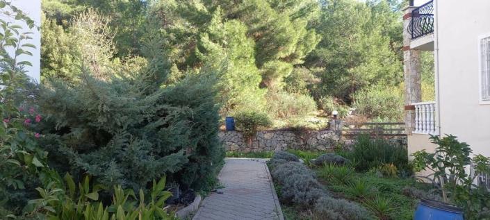 Image No.19-3 Bed Duplex for sale